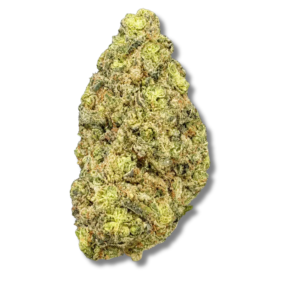 Blueberry Meringue Indoor CBD Top qualité premium USA