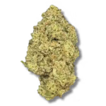 Magic Papaya