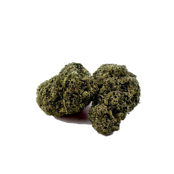 AK 47