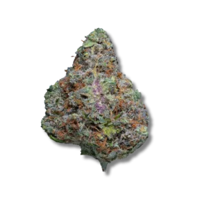 Bangkok Blaze fleur de cbd indoor top shelf qualité premium