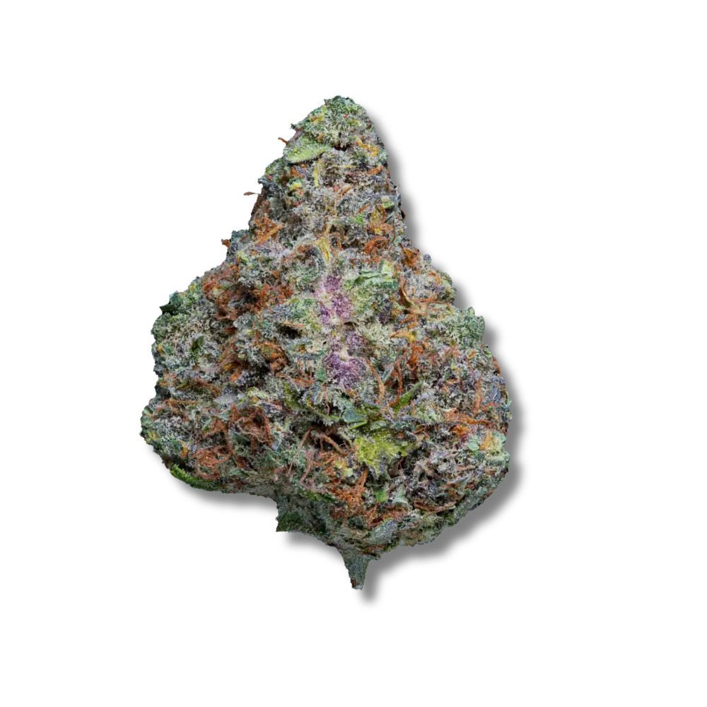 Bangkok Blaze fleur de cbd indoor top shelf qualité premium