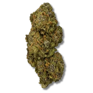 Purple Meringue – fleur de CBD Hermosa
