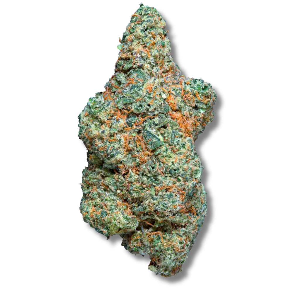 swizzler cbd top shelf indoor haute qualité premium