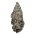 Legendary Skunk