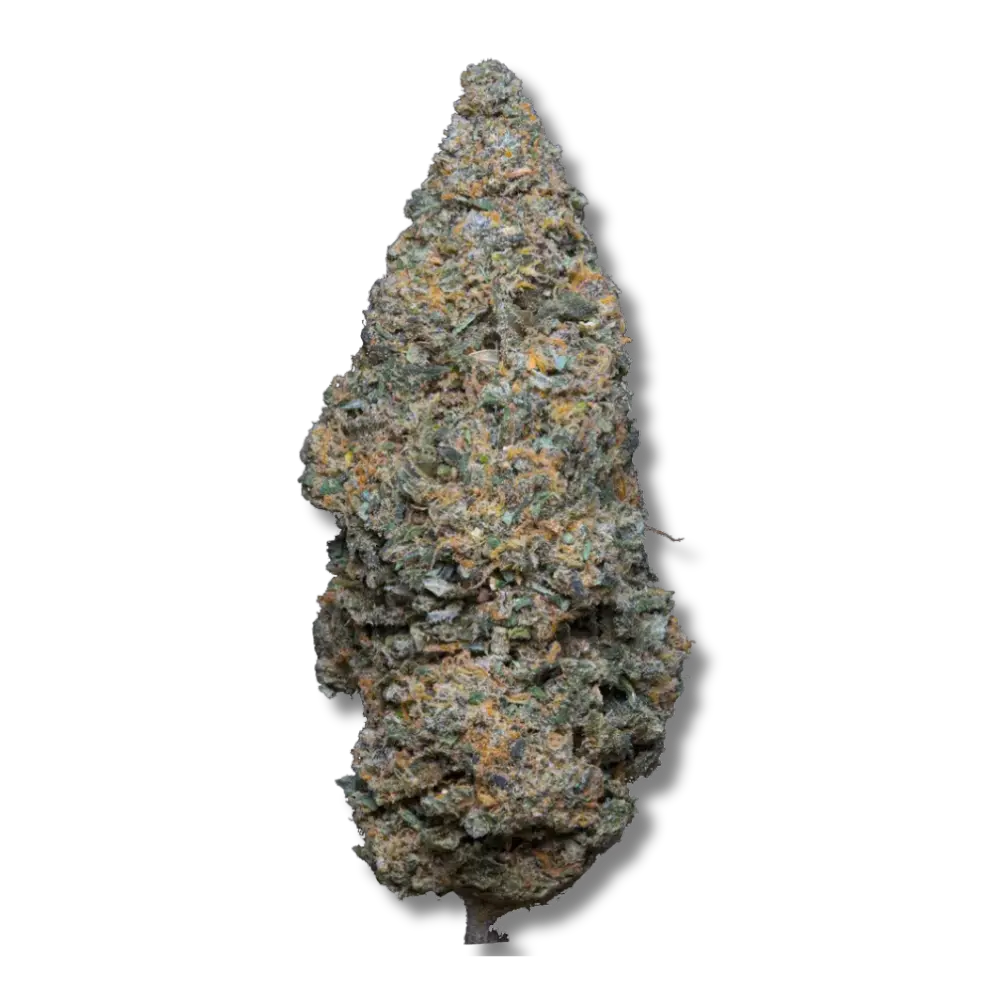 Légendary skunk fleur de cbd indoor top shelf qualité premium