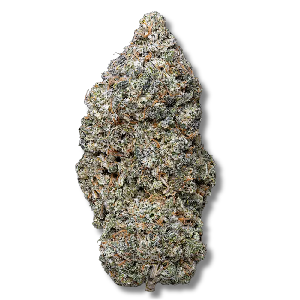 lemon james magic +