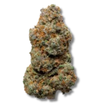 Orange Magic