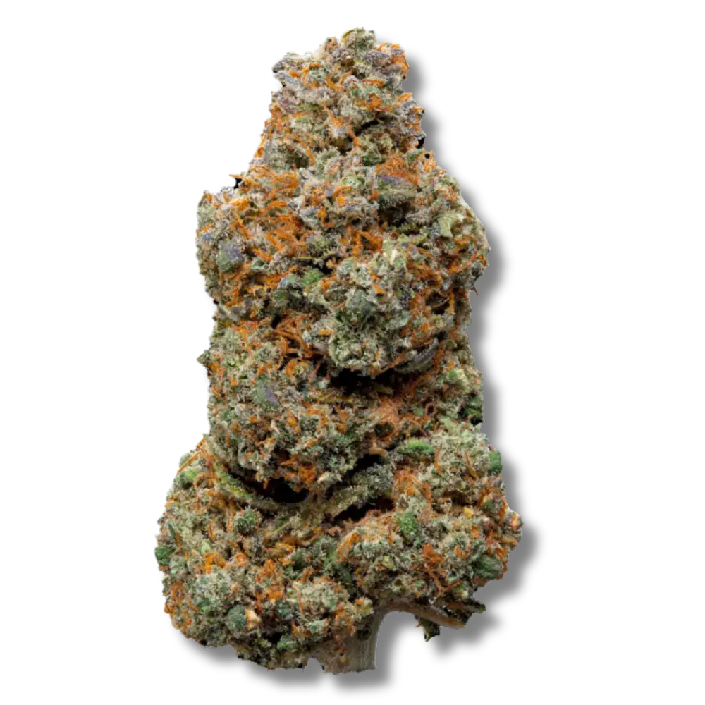 gary payton magic cbd top shelf indoor haute qualité premium