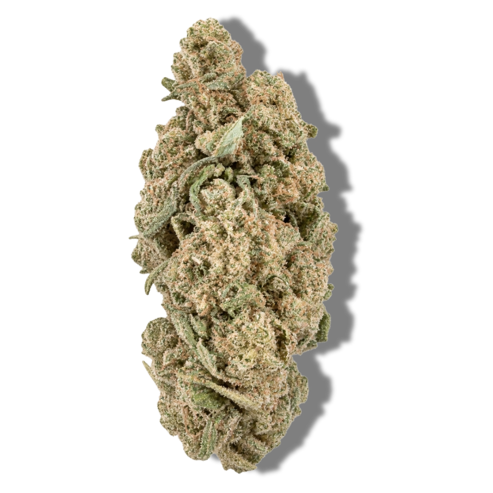 super skunk fleur de cbd pas cher glasshouse hermosa.webp