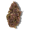 Steve urkle fleur cbd D10 puissante