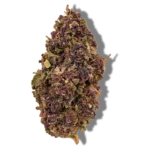 Steve Urkle