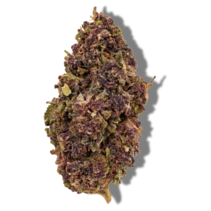Steve urkle fleur cbd D10 puissante