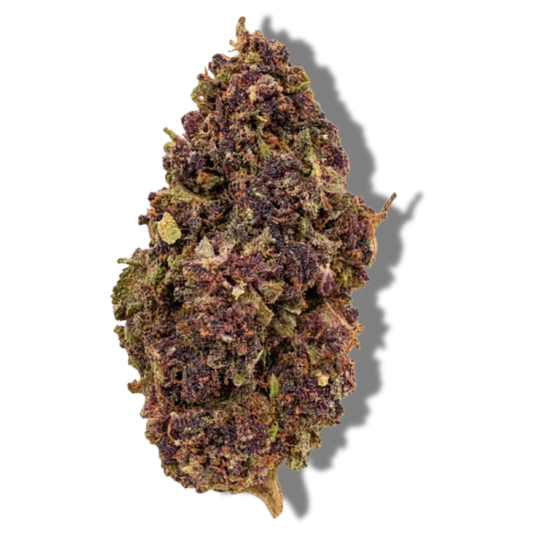 Steve Urkle
