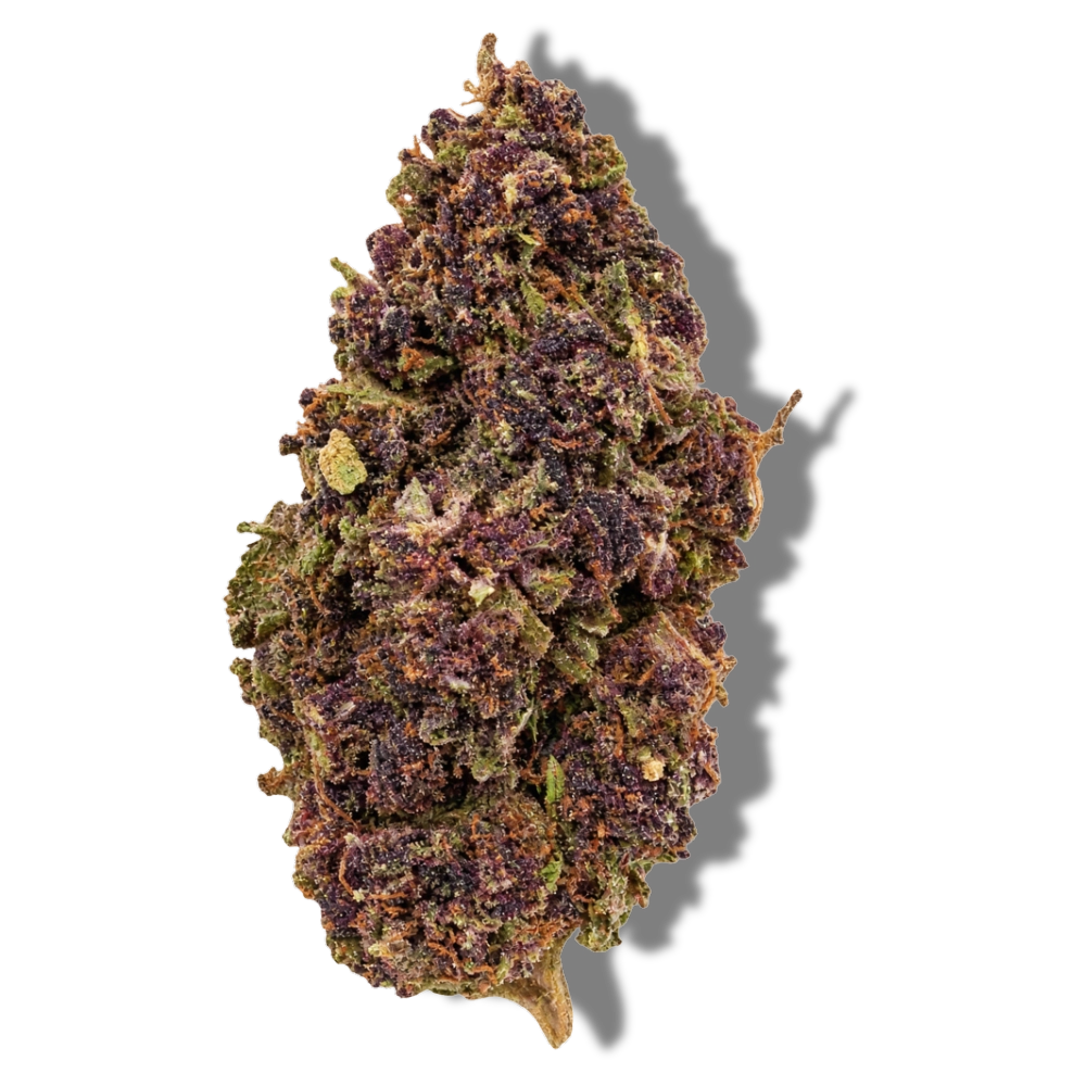 Steve urkle fleur cbd D10 puissante