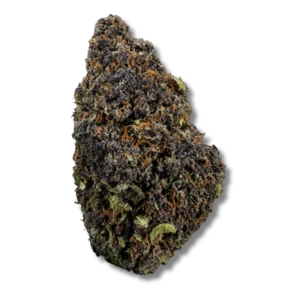 Mango Haze fleur de cbd pas cher glasshouse hermosa.webp