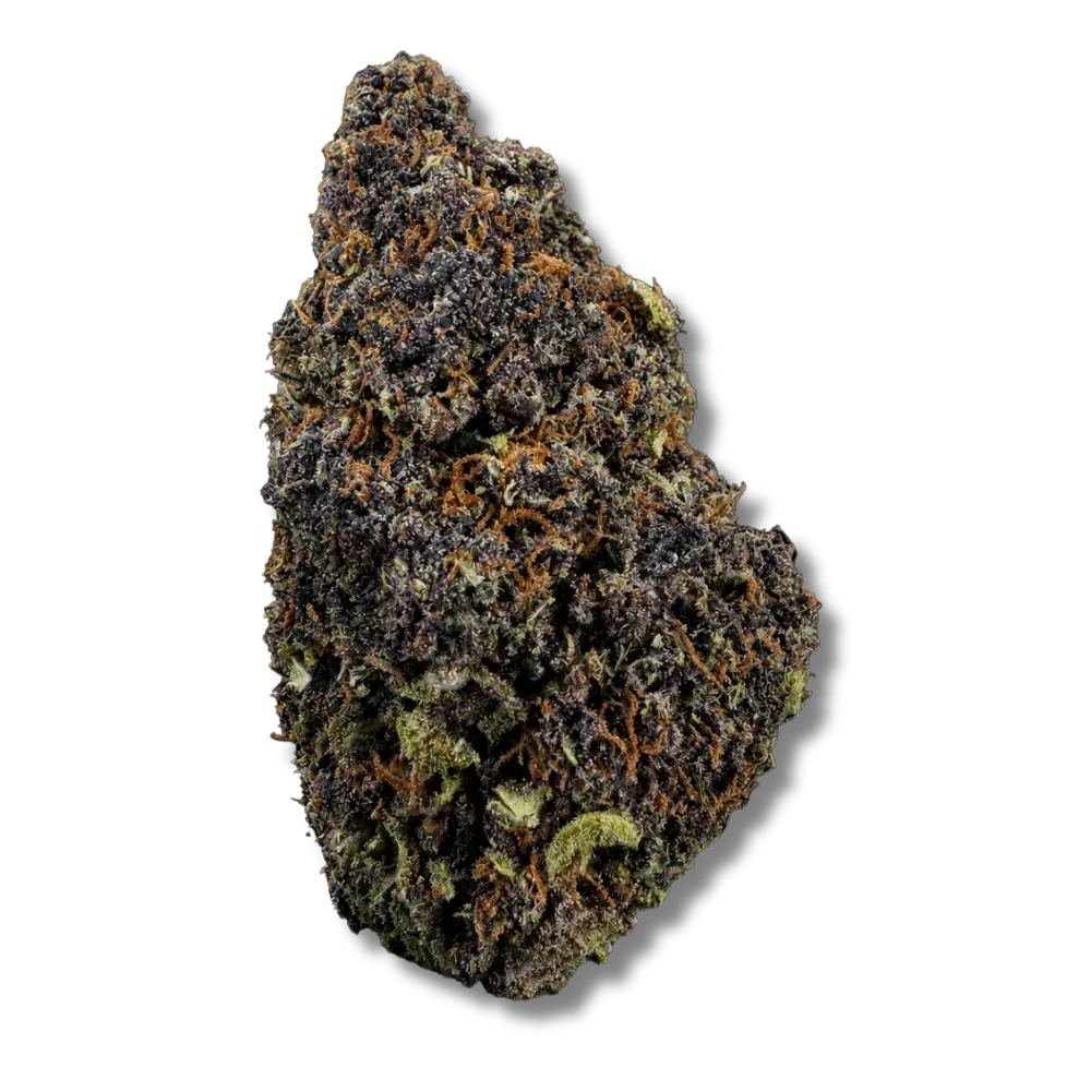 Mango Haze fleur de cbd pas cher glasshouse hermosa.webp