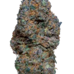 Steve Urkle