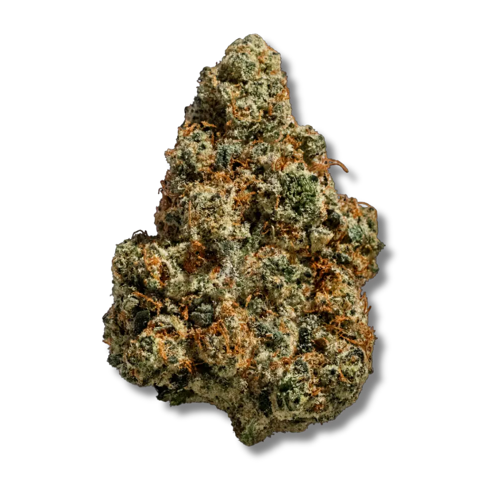 strawberry payton cbd top shelf indoor haute qualité premium