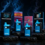 Pack Découverte — 4 Vapes 5G