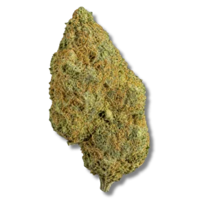 magic cali