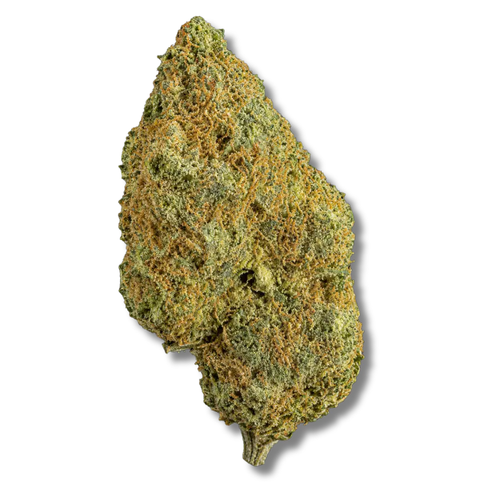 magic cali