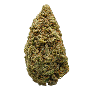 Magic Sexy Cookie – fleur Magic+ Hermosa
