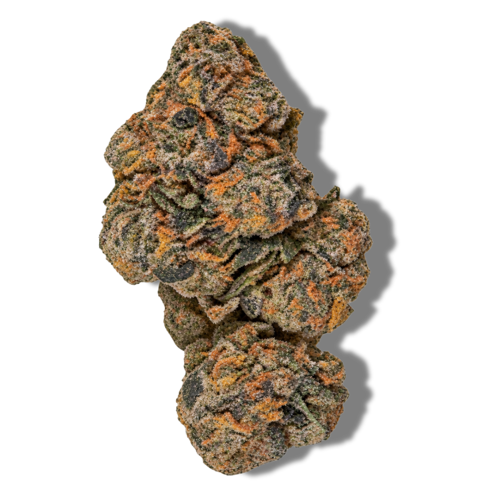 toad venom magic+ cbd