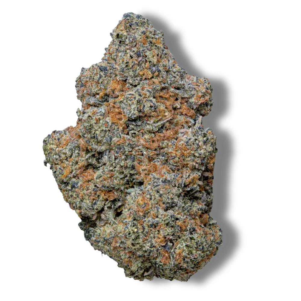 toad venom magic+ cbd