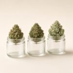 Compose ton pack — 15g, 3 gammes