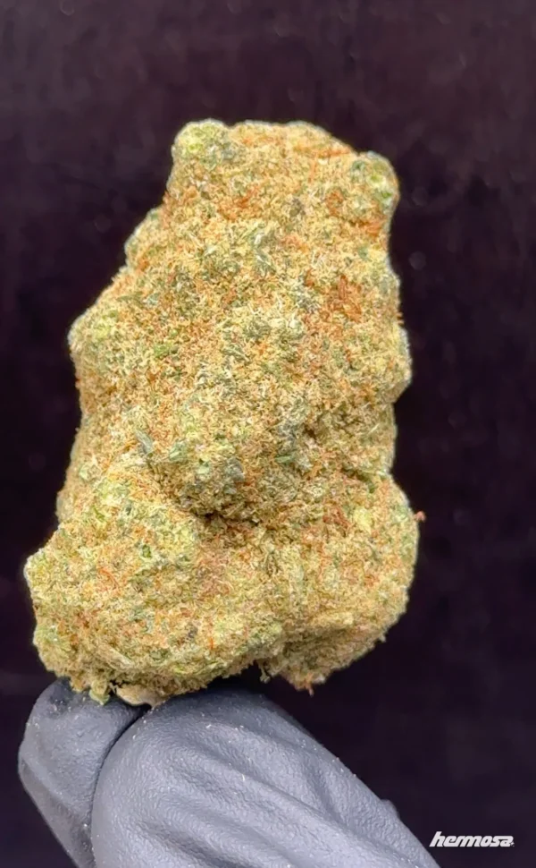 Miracle Alien Cookies CBD (M.A.C.)👽🍪