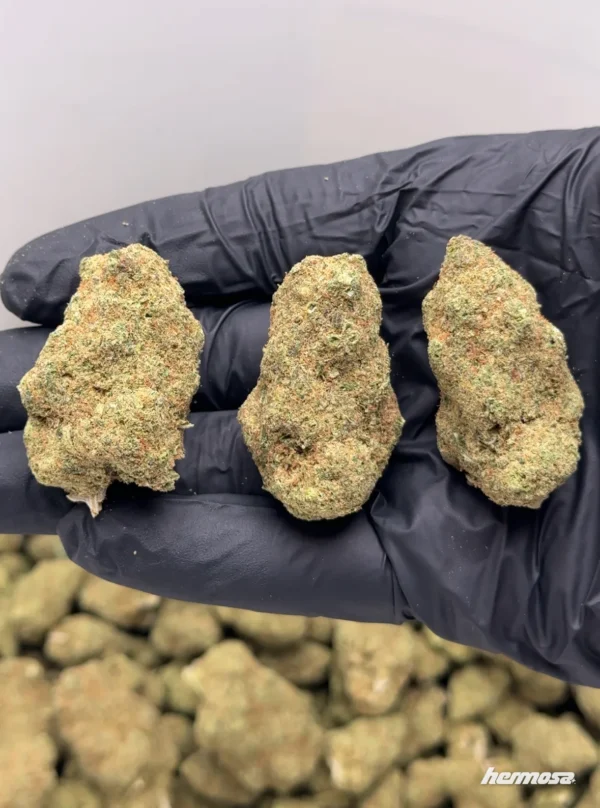 Miracle Alien Cookies CBD (M.A.C.)👽🍪