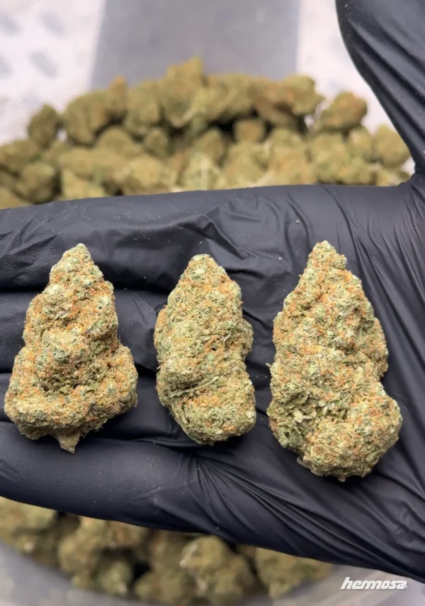 Cali Pineapple