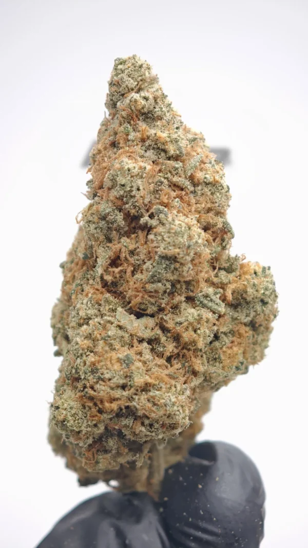 Strawberry Lemon Kush