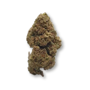 Blueberry SB – fleur détourée