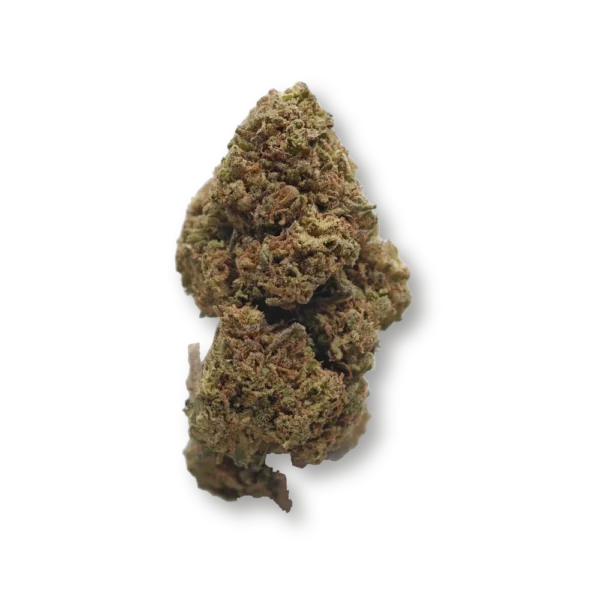 Magic Blueberry SB