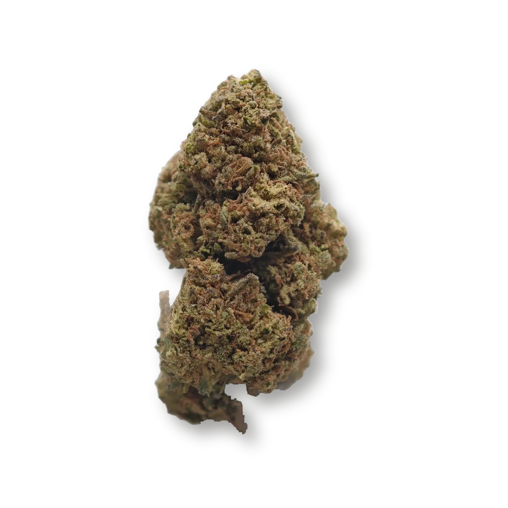 Blueberry SB – fleur détourée