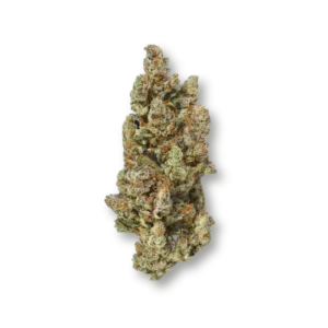 Grapefruit XS – fleur détourée