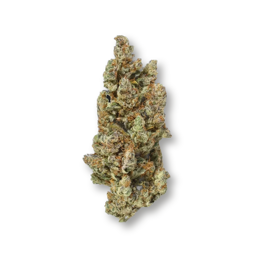 Grapefruit XS – fleur détourée