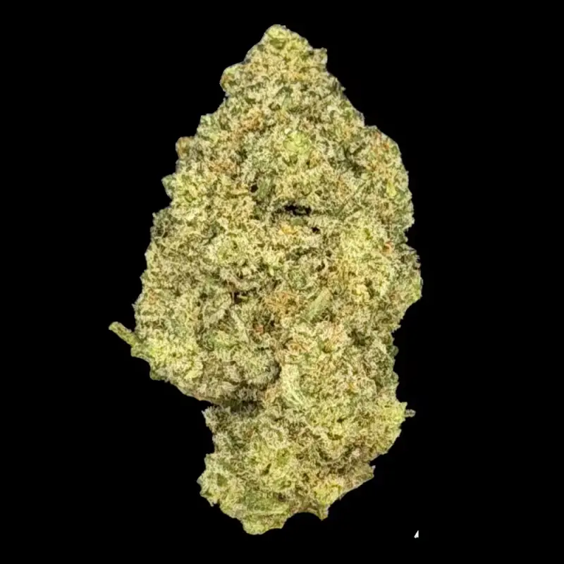 Magic Tangie Tonic cbd Hermosa