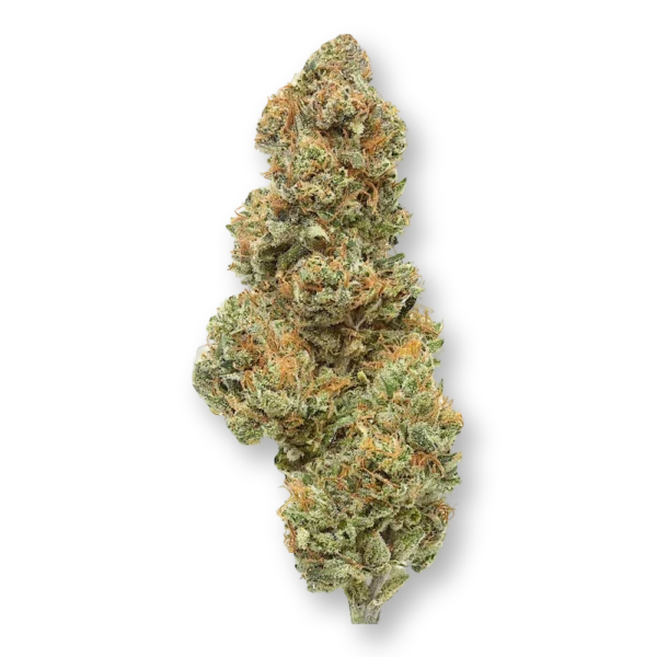 Mystery OZ