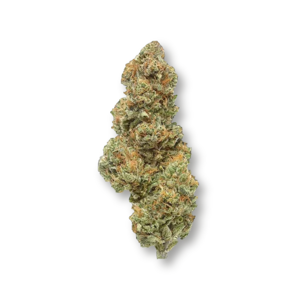 Mystery OZ