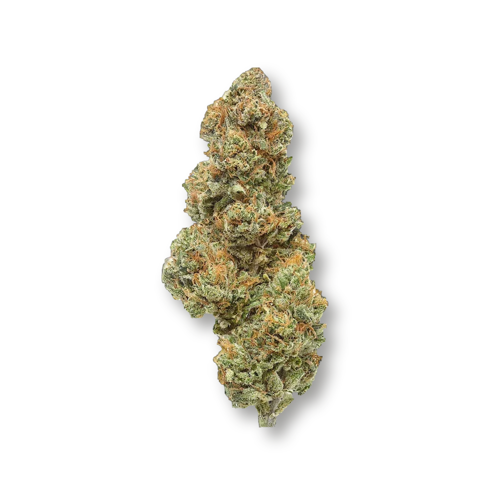 Mystery OZ – fleur détourée