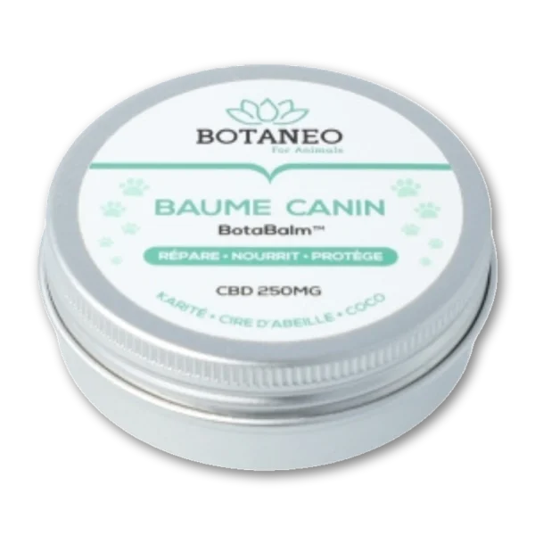 Baume CBD Nourrissant pour Chien – BOTABALM™
