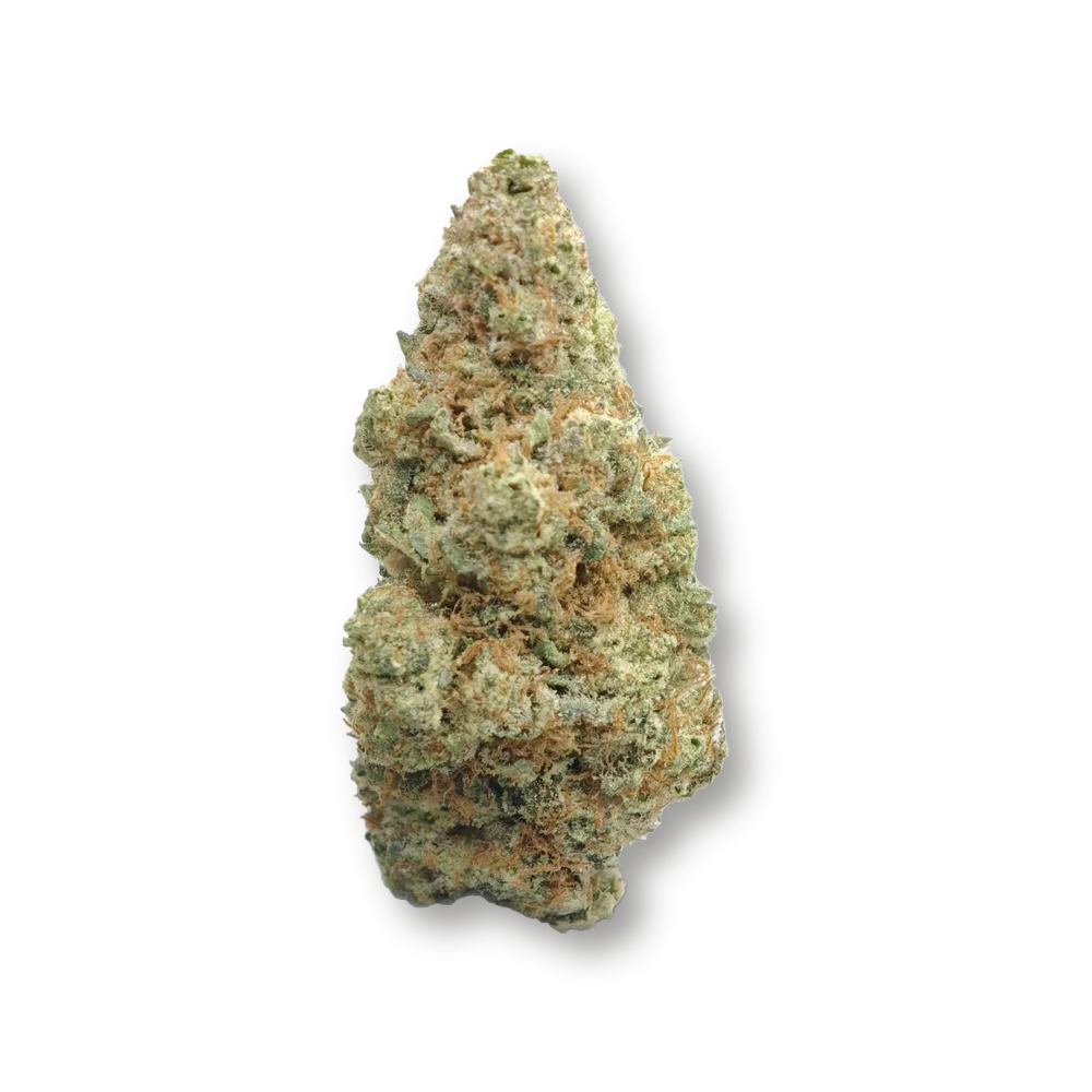 Solero Cream CBD – fleur détourée