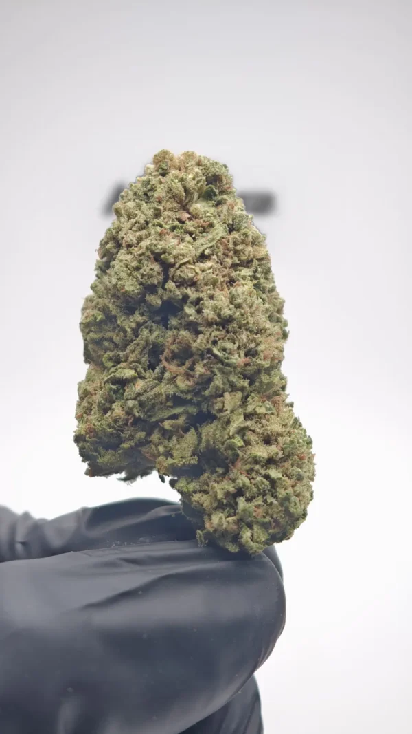Tangie Tonic