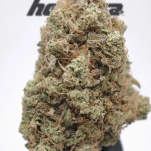 Zombie Flow - fleur CBD top shelf Hermosa
