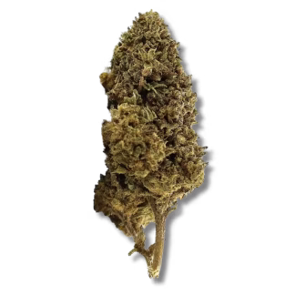 Thunderfall ND10X 50%