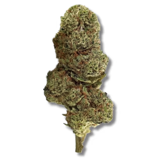 SKYBREAKER ND10X 50%