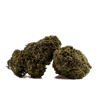 Royal OG CBD