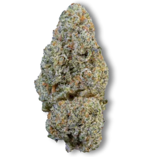 Snowing dam CBD ultra haute qualité hermosa